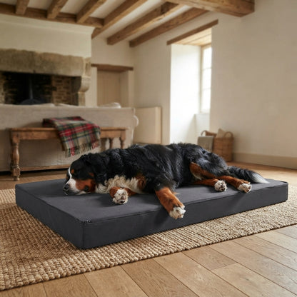Matelas en mousse grand format, bouvier bernois endormi, salon rustique