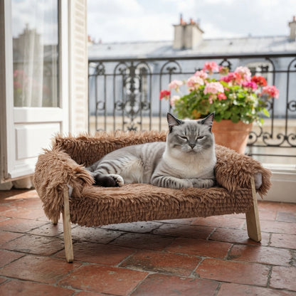 Couchage surélevé à pieds bois, chat tigré en boule, balcon parisien